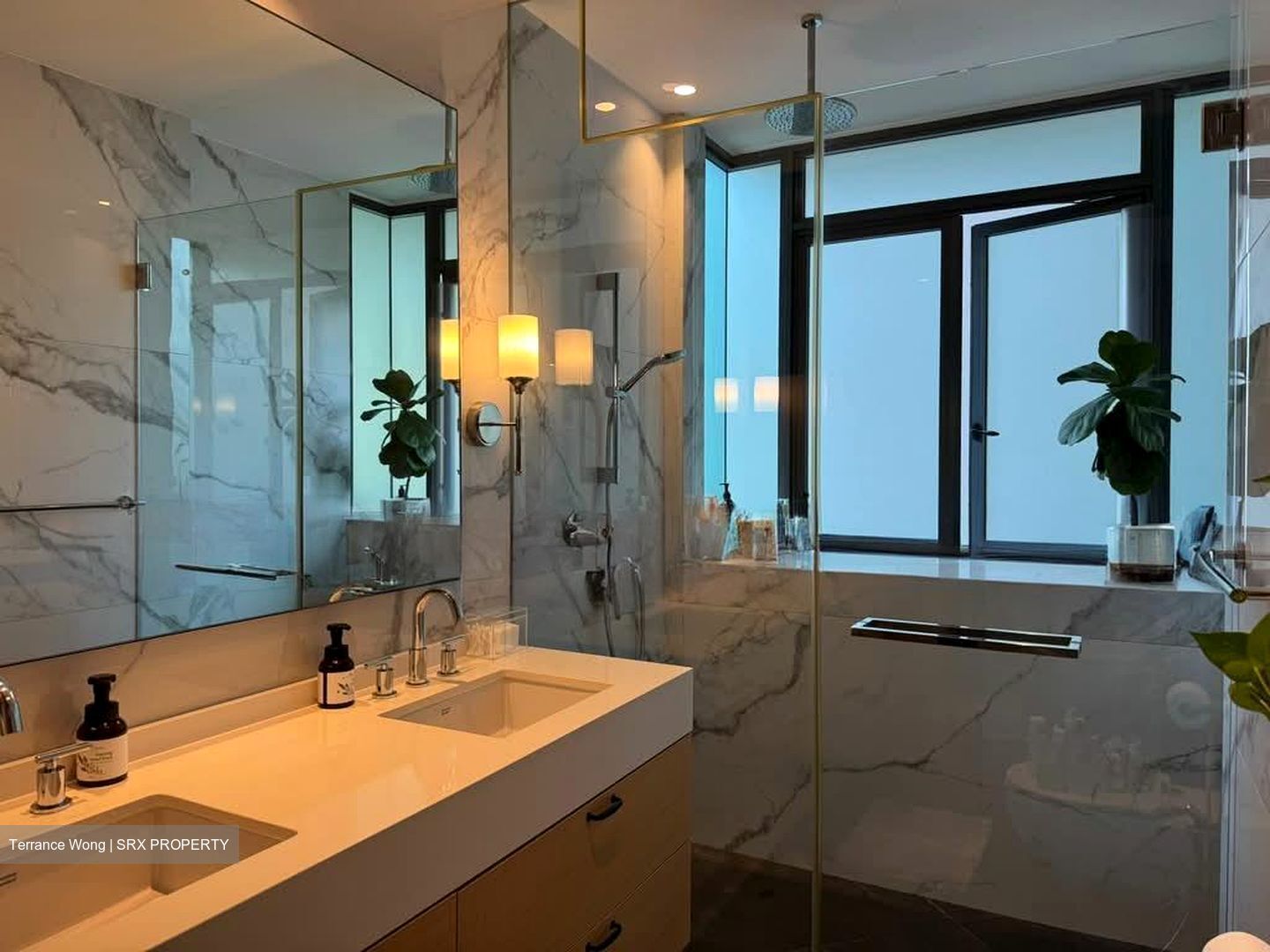 Duet (D10), Condominium #537456881